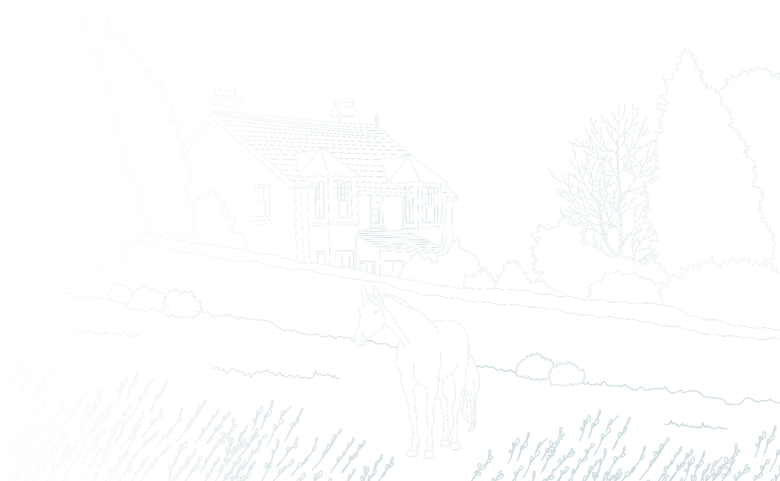 Illustration of house with horse outside