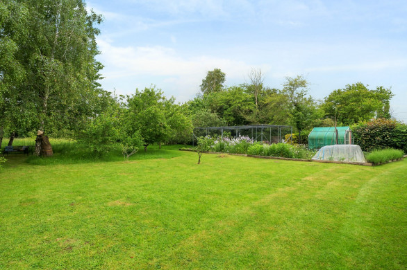 Property thumbnail image 19