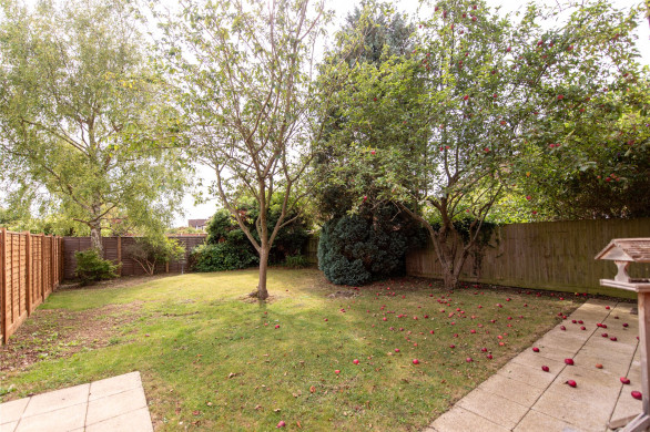 Property thumbnail image 6